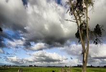 天涯论坛官网台湾：穿越海峡的文化交流桥梁